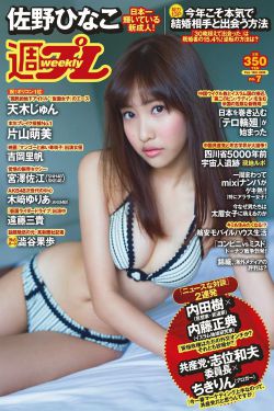 男媒婆電視劇全集