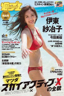 巡回檢察組演員表介紹